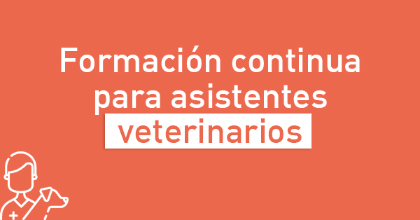 Banner formación veterinaria